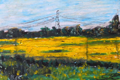Rapeseed Field