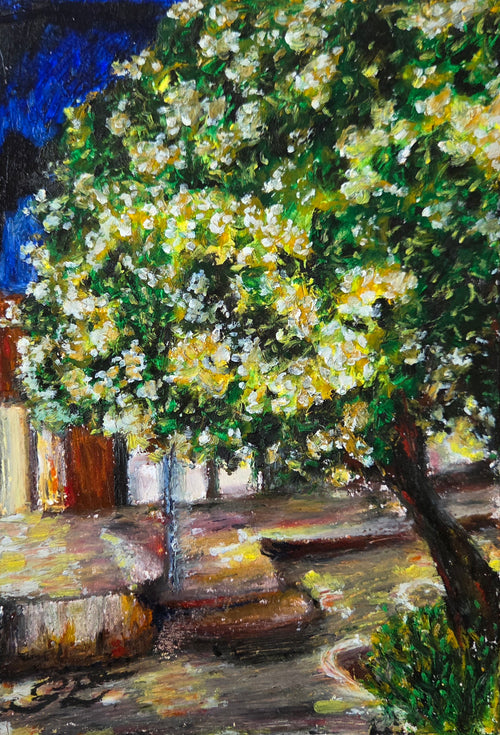 Midnight Bloom