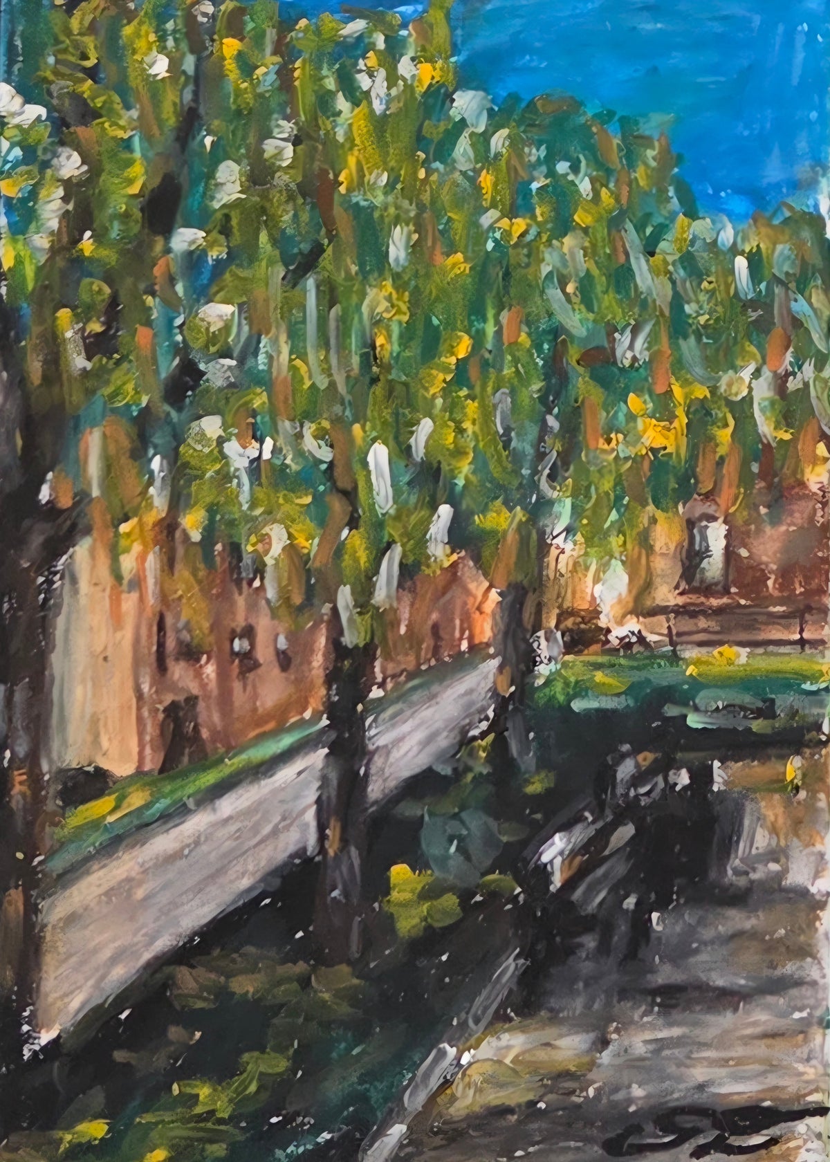 Shaded Avenue