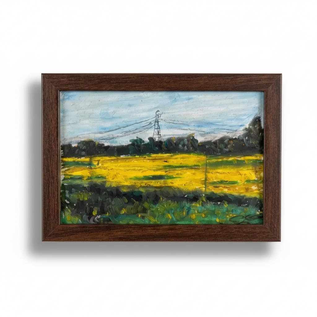 Rapeseed Field