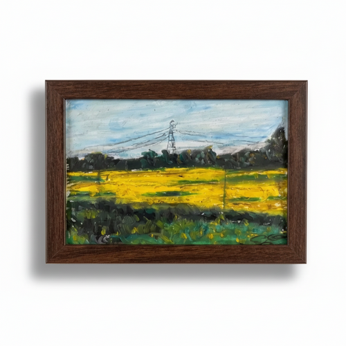Rapeseed Field