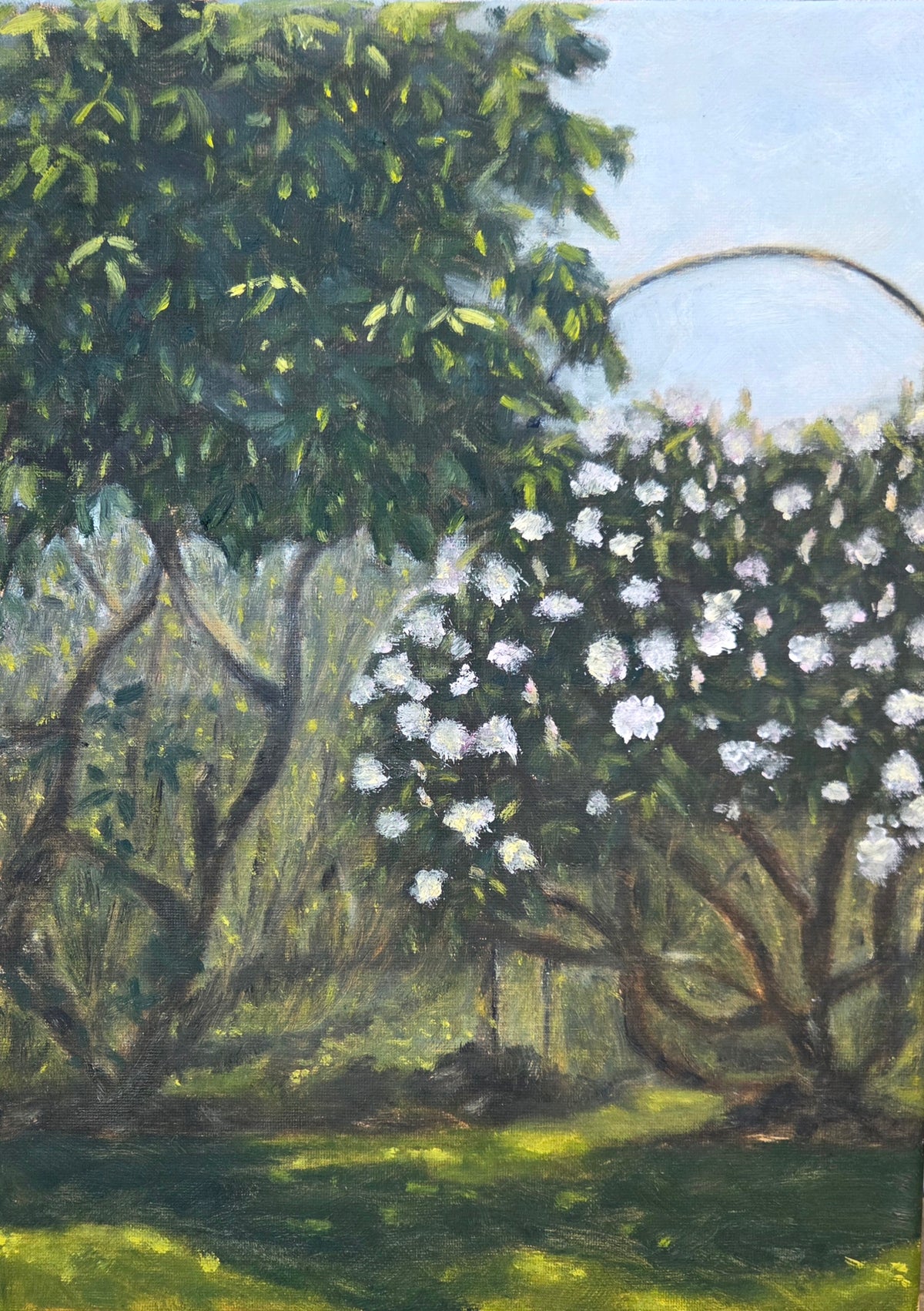 Secret Garden